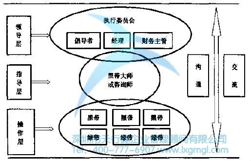 六西格玛组织结构及团队成员的作用