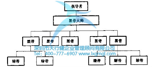 六西格玛组织结构及团队成员的作用